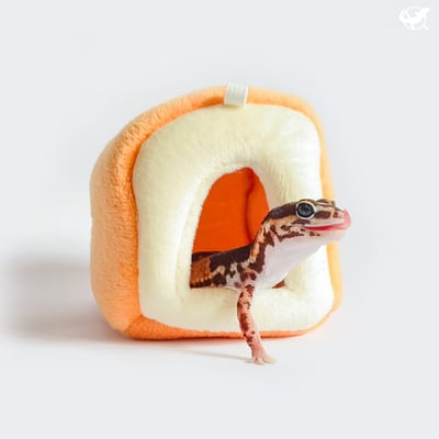 守宮吐司躲避屋1