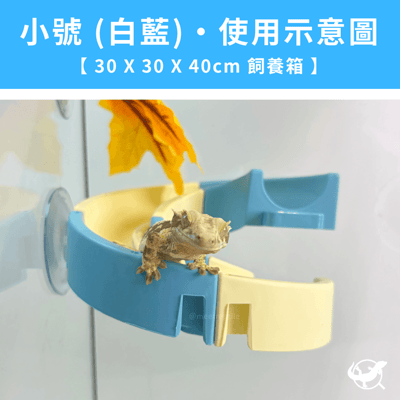 爬寵溜滑梯爬台5