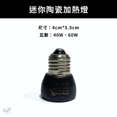 Petpetzone 迷你陶瓷加熱燈4