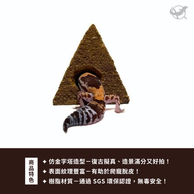 守宮金字塔躲避屋 / 擺設5