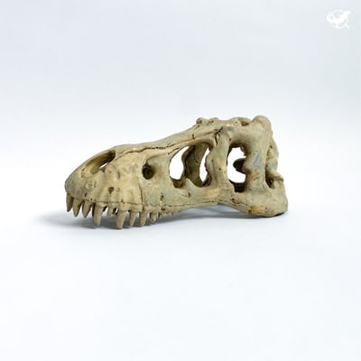 守宮寬敞舒適組8