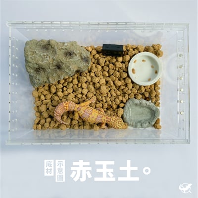 守宮寬敞舒適組4