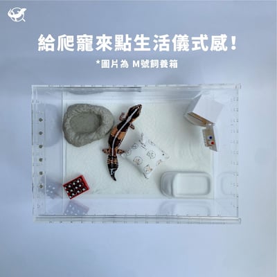 爬蟲冰箱可樂擺設組4