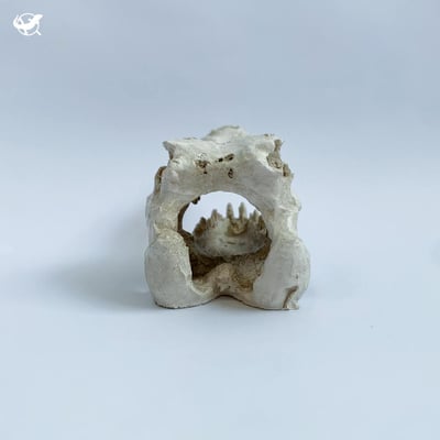 鱷魚頭骨躲避屋9