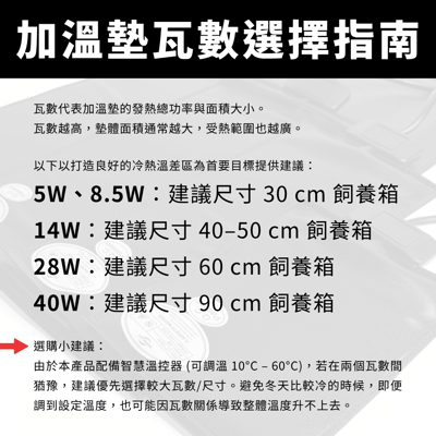 爬蟲三合一加溫墊（溫控 + 定時 + 防水）8