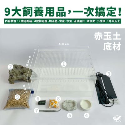 守宮寬敞舒適組2