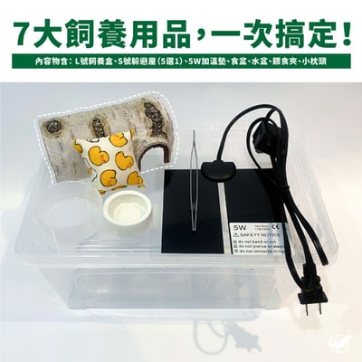 守宮飼養基本組3