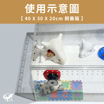 卡拉卡拉造型擺設3