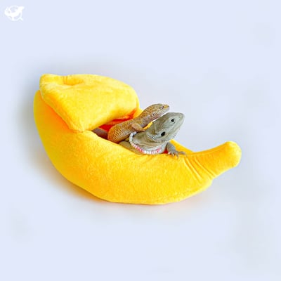 爬蟲剝皮香蕉窩1