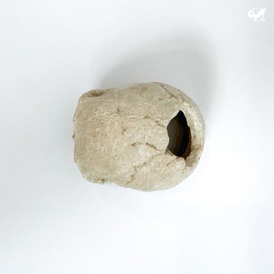 仿真骷顱頭躲避屋8