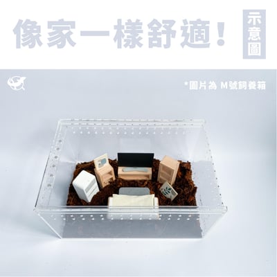 守宮小傢俱擺設組7