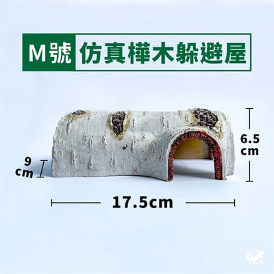 守宮寬敞舒適組6