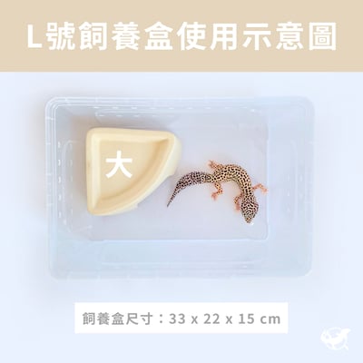 爬蟲直角躲避屋6