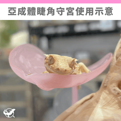 樹棲仿真樹葉吸盤吊床3