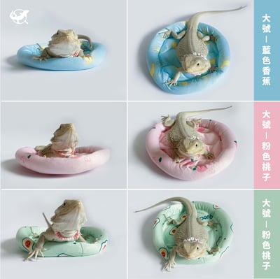 爬蟲圓形窩墊4