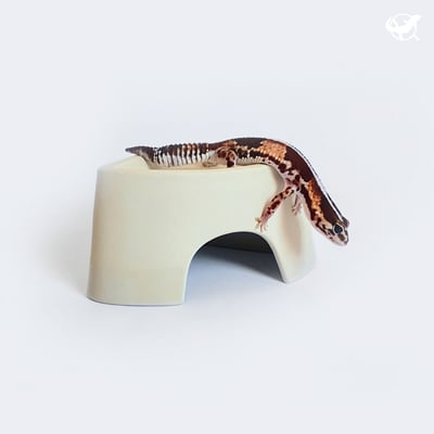 爬蟲直角躲避屋1