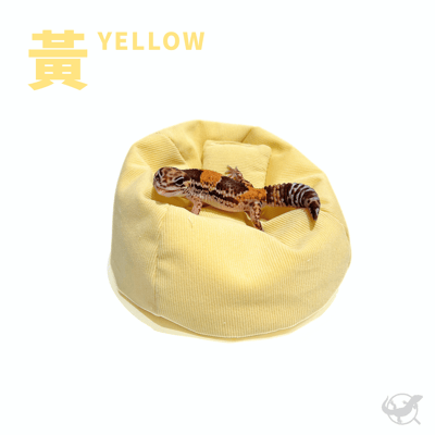 爬寵懶骨頭沙發13