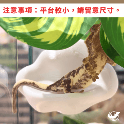雲朵造型休息台3