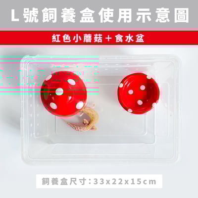 爬蟲蘑菇躲避屋＋水盆5