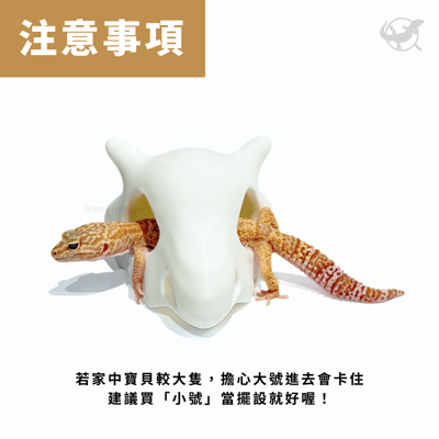卡拉卡拉造型擺設4