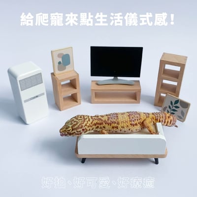 守宮小傢俱擺設組1