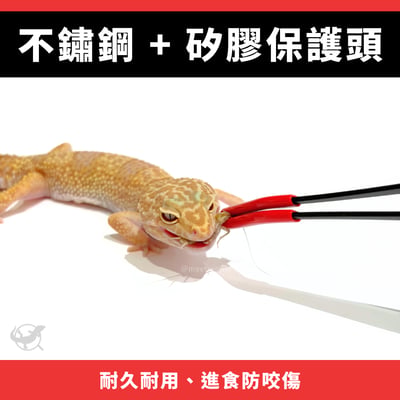爬蟲矽膠安全餵食夾3