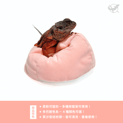 爬寵懶骨頭沙發3