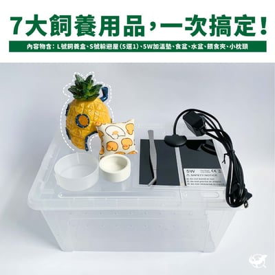 守宮飼養基本組4