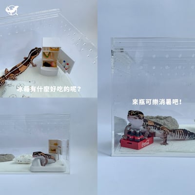 爬蟲冰箱可樂擺設組3