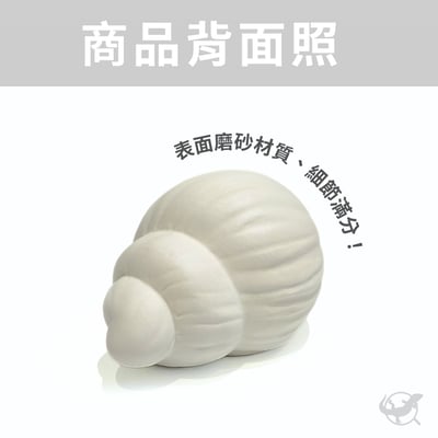 爬蟲神奇海螺躲避屋4