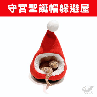 守宮聖誕帽躲避屋1