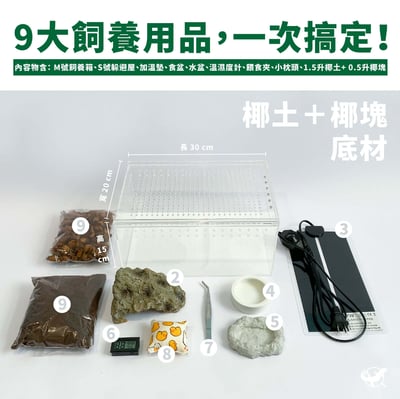 守宮飼養入門組3