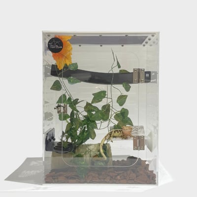 樹棲壓克力飼養箱（睫角、蓋勾亞適用）2