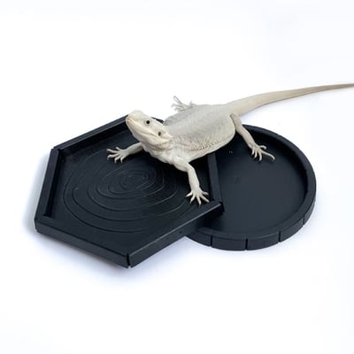 爬蟲六角／圓型食盆6