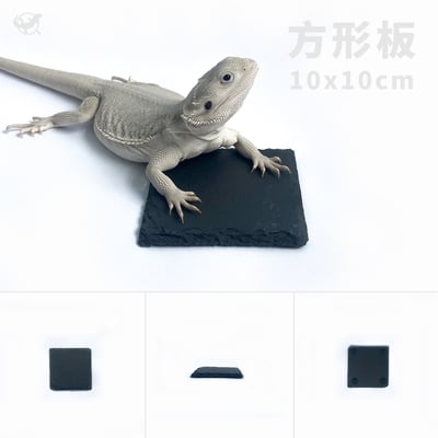 爬蟲磨甲岩板3