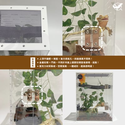 樹棲壓克力飼養箱（睫角、蓋勾亞適用）3