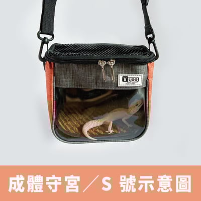 爬寵外出包（守宮、鬆獅蜥等適用）6