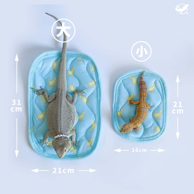 爬蟲長方形窩墊2