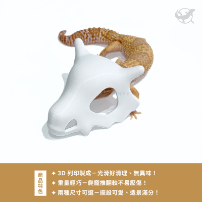 卡拉卡拉造型擺設5