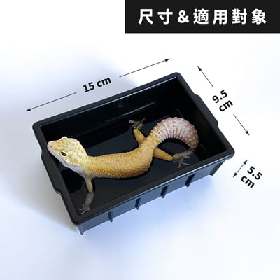 爬蟲大款泡水盆