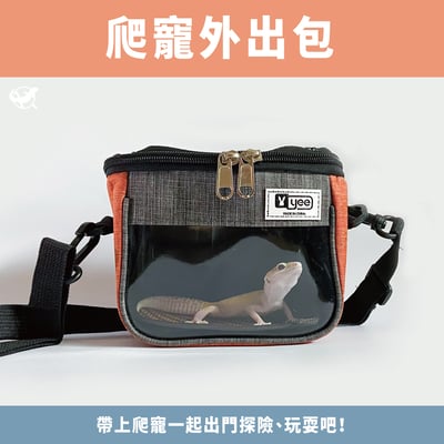 爬寵外出包（守宮、鬆獅蜥等適用）1
