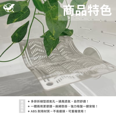 爬蟲樹棲守宮吊床3