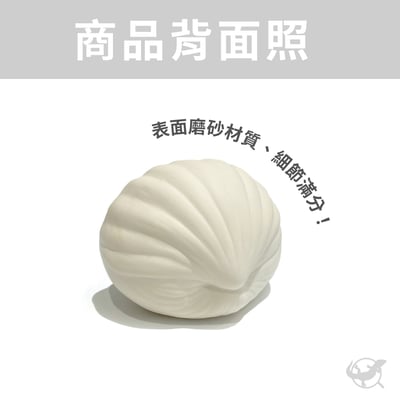 爬蟲貝殼躲避屋8