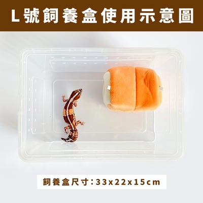 守宮吐司躲避屋5