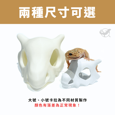 卡拉卡拉造型擺設2