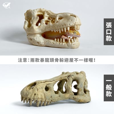 暴龍頭骨躲避屋（張口款）3