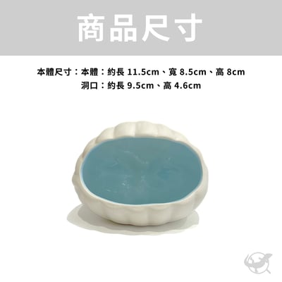 爬蟲貝殼躲避屋6