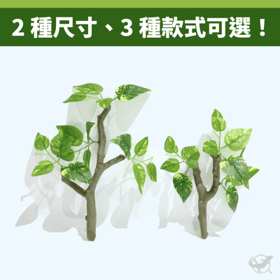 爬蟲仿真樹枝造景6