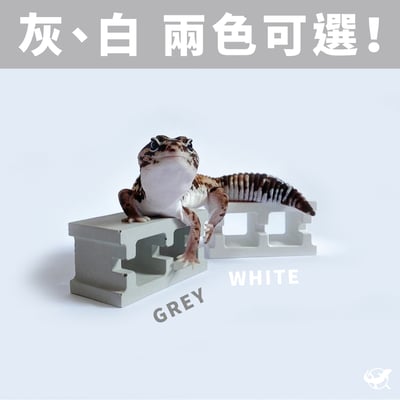 爬蟲迷你水泥空心磚3