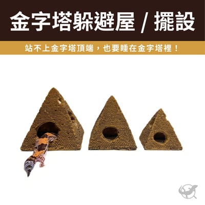 守宮金字塔躲避屋 / 擺設1